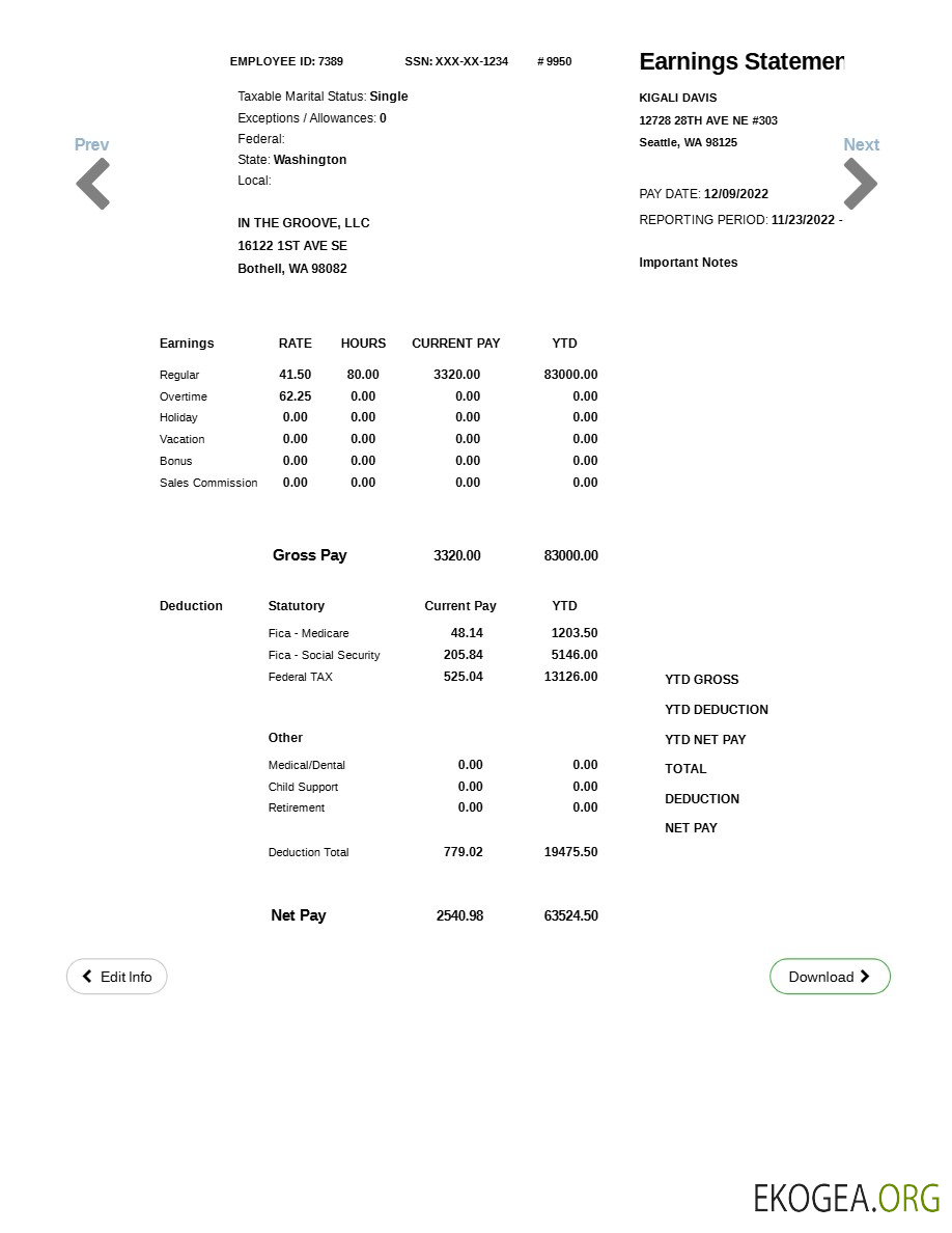 Modèle de déclaration de résultats IN THE GROOVE, LLC aux formats Word et PDF.pdf, 1